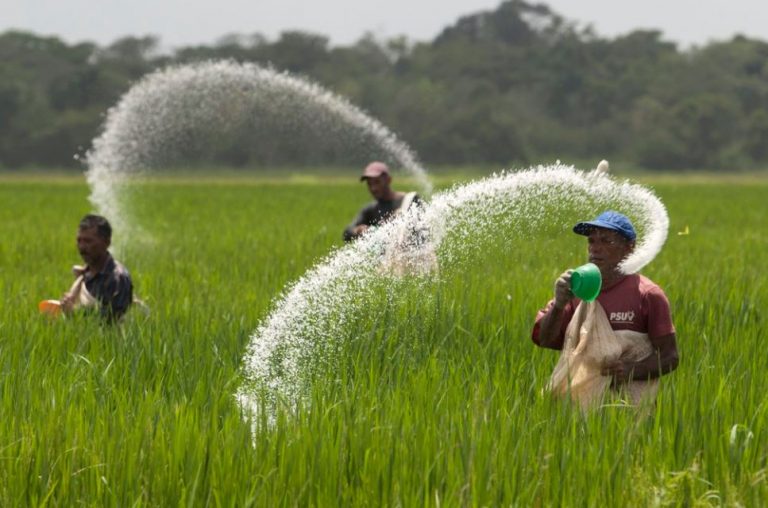 කළුතර පොහොර සහනාධාර වශයෙන් මිලියන 75ක්