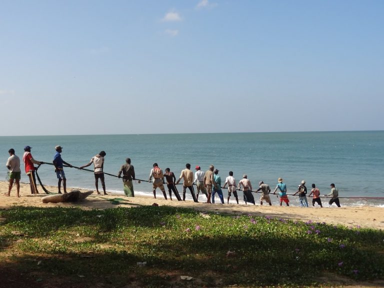 මා දැල් ධීවර ගැටළු විසඳීමට කමිටුවක් පත්කෙරේ