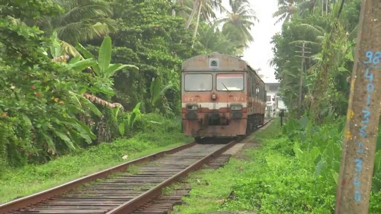 මෙම වසරේ ගත වූ මාස 10 ක කාලය තුළ දුම්රිය අනතුරු හේතුවෙන් පුද්ගලයින් 180 දෙනෙකු ජීවිතක්ෂයට