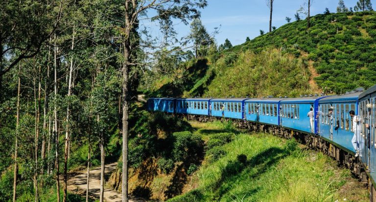 ගම් බිම් බලා යන ජනතාවට විශේෂ දුම්රිය සේවා හා බස් රථ