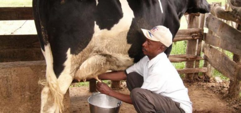 කිරි ගව කර්මාන්තය සංවර්ධනයට ක්‍රමෝපායික සැලැස්මක්