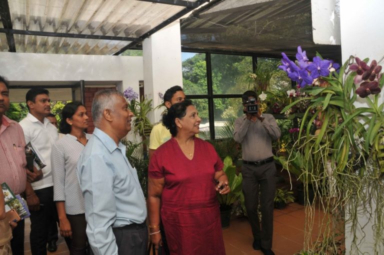 මෙම වසරේදී නව දෙමුහුන් මල් වර්ග 15ක් හඳුන්වා දීමට කටයුතු