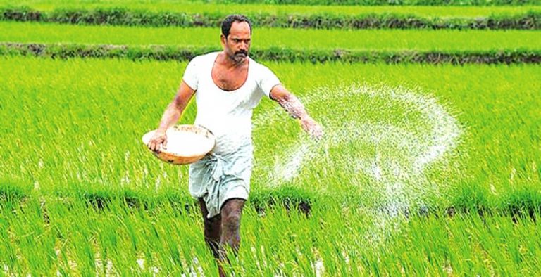 පොහොර හිඟය අද වනවිට අවසන්