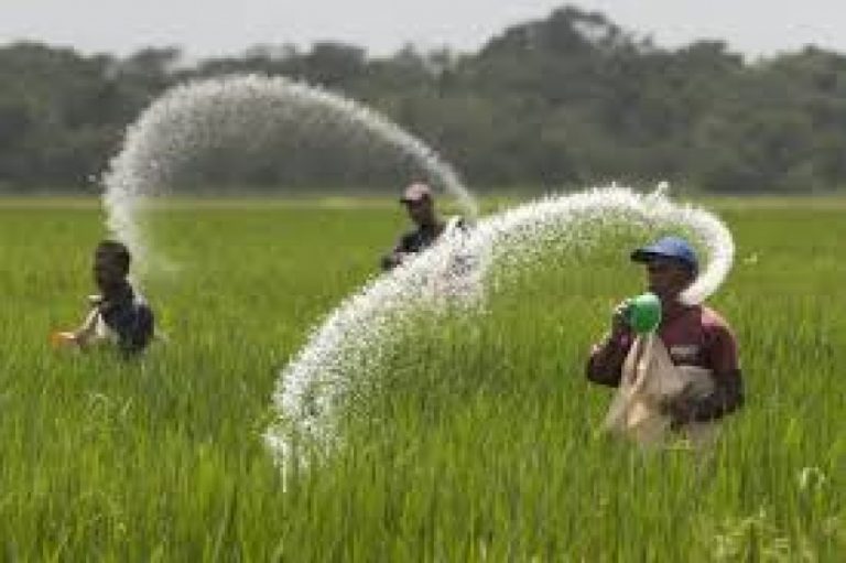 පොහොර සහනාධාරය සම්බන්ධයෙන් නව ප‍්‍රතිපත්තියක් – පොහොර හිඟයක් ඇති නොවීමට කටයුතු