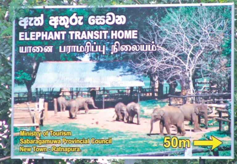 උඩවලව ඇත් අතුරු සෙවණෙන් රුපියල් මිලියන 32.42ක ආදායමක්