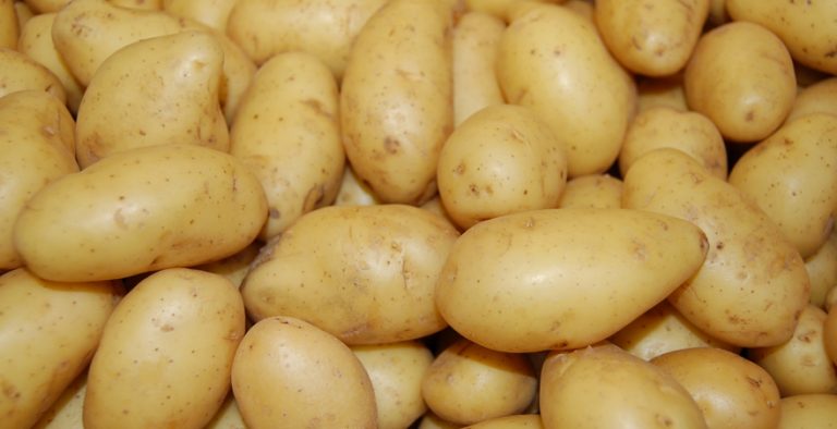 අර්තාපල් ආනයන බද්ද ඉහළට