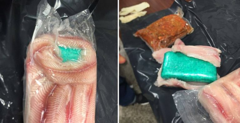 මාරාන්තික ඖෂධ තොගයක් මාළු පෙති අතර තිබි සොයා ගනීයි