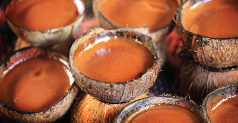 දිවයිනේ කිතුල් කර්මාන්තය නංවාලීම සදහා පියවර 