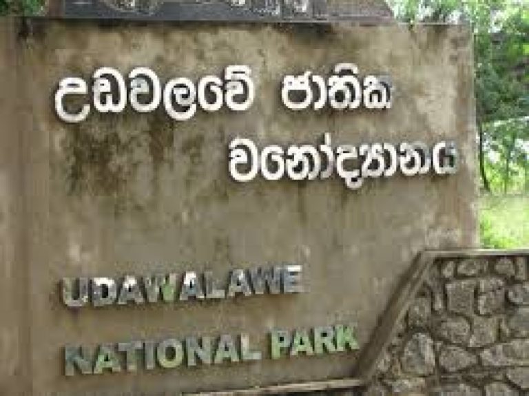 ගිය වසරේ උඩවළව ජාතික වන උද්‍යානයෙන් රුපියල් මිලියන 358 ආදායමක්