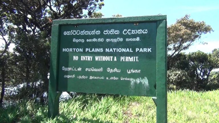ගිය වසරේ හෝර්ටන්තැන්න ජාතික උද්‍යානයෙන් රුපියල් මිලියන 316ක ආදායමක්