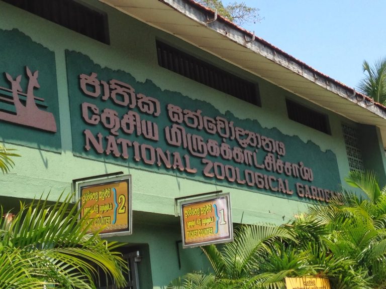 ගිය වසරේ ජාතික සත්වෝද්‍යාන දෙපාර්තමේන්තුවේ ආදායම රුපියල් මිලියන 762.06කට අධික වෙයි