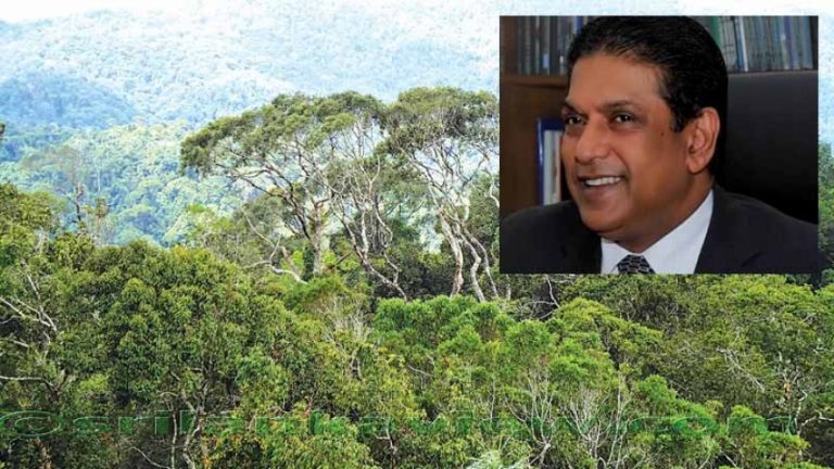 ශ්‍රී ලංකාවේ පවතින වනගහනය ඉදිරිකාලයේ දී සියයට 32% දක්වා ඉහළ දැමීමට පියවර