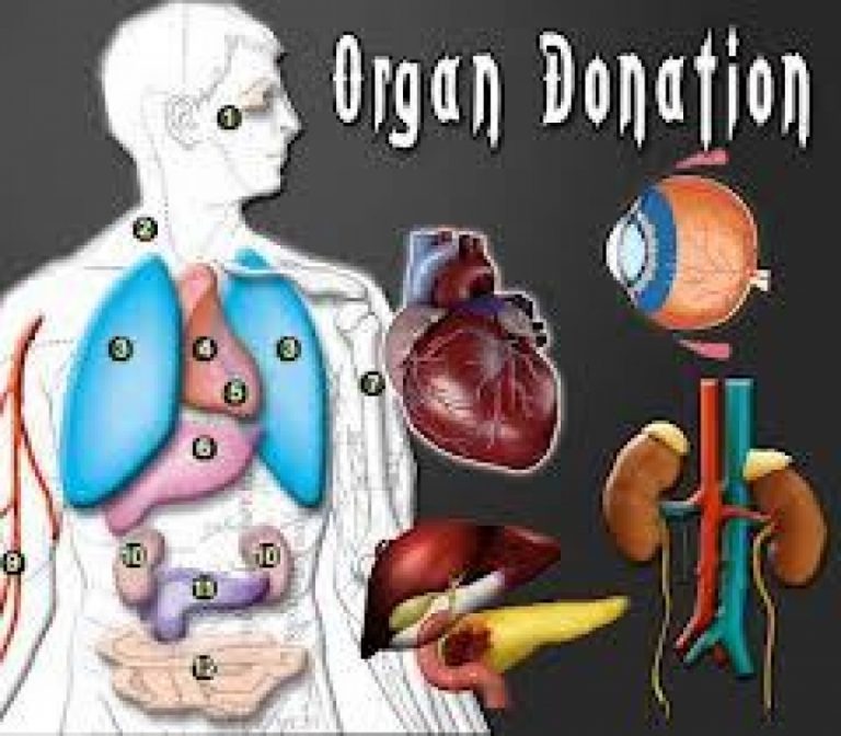 මරණයෙන් පසුව අවයව බද්ධ කිරීමේ ජාතික වැඩසටහනක්
