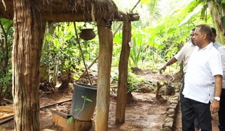 මොරගහකන්ද ගුරුවෙළ මහවැලි ගොවිපොළෙන් පසුගිය වසරේ දී රුපියල් එක්කෝටි 60 ලක්ෂයක ආදායමක්