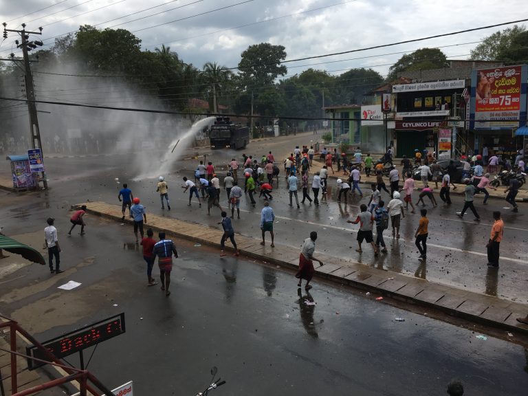 රාජාංගණය ගෝවීන් 51ක් දෙනා ශරීර අැප මත නිදහස් කරයි