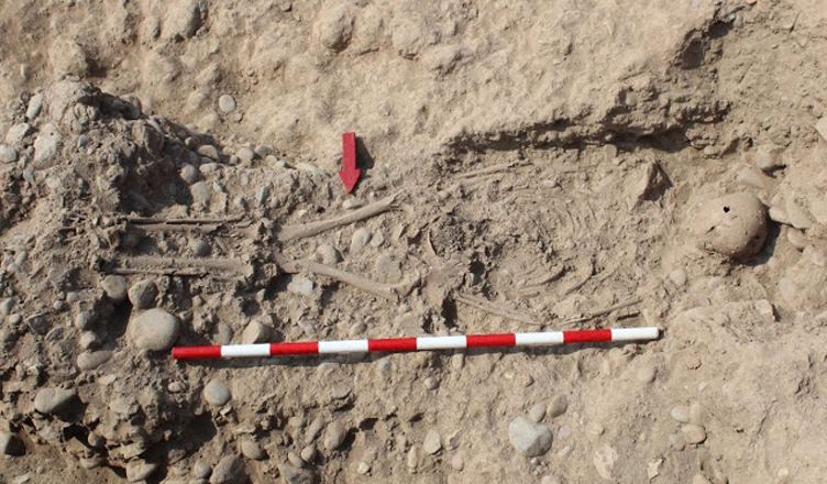 පේරු රාජ්‍යයෙන් වසර 1300ක් ඉපැරණි මිනිස් අස්ථි කොටස් කිහිපයක් හමුවෙයි