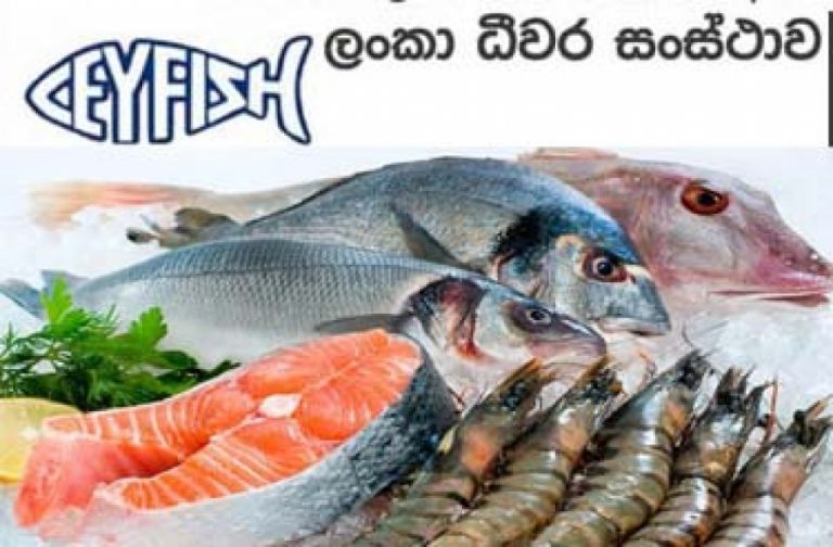 උත්සව සමයේ ලංකා ධීවර සංස්ථාව වාර්තාගත ආදායමක් උපයයි