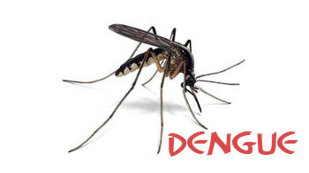දිවයින පුරා ජාතික මදුරු මර්දන සතියක් ක්‍රියාත්මක කෙරේ