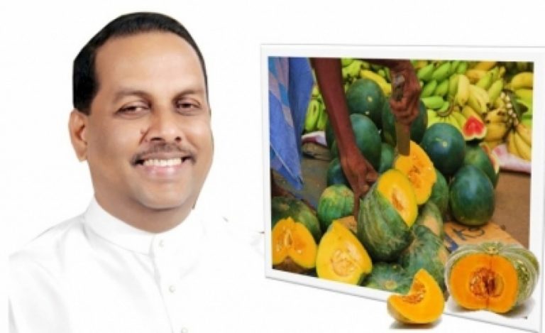 වට්ටක්කා අස්වැන්න මිලදී ගැනීමට මහා භාණ්ඩාගාරයෙන් රුපියල් ලක්ෂ 50ක්