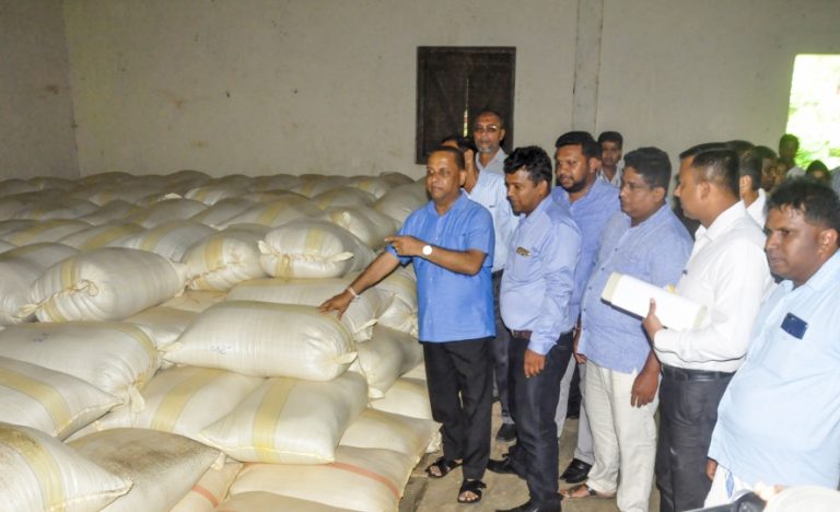 ගොවීන්ගෙන් සීමාවකින් තොරව වී මිලදී ගැනීමට රජය සූදානම්