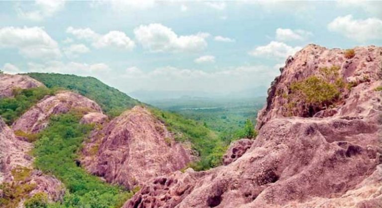 ජාතික නාමල් උයන මතු පරම්පරාවට උරුම කරදීමට මධ්‍යම සංස්කෘතික අරමුදලට පවරාදීමට යයි