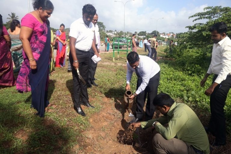 ලෝක හරිත දින සැමරුමට සමගාමීව රුක් රෝපණ වැඩසටහනක්
