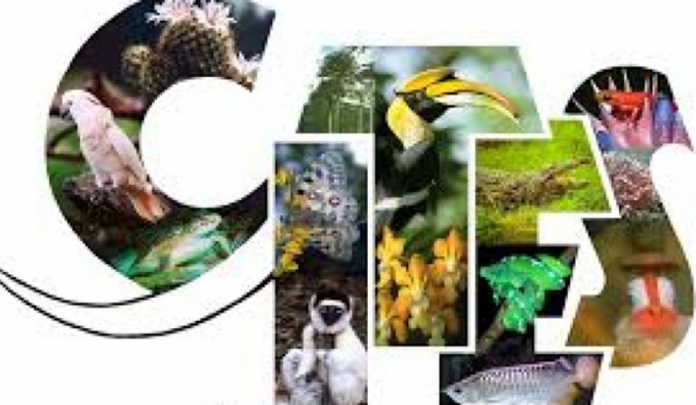 CITES ජාත්‍යාන්තර සම්මන්ත්‍රණයේ ගිවිසුම් අත්සන් තැබීම අද