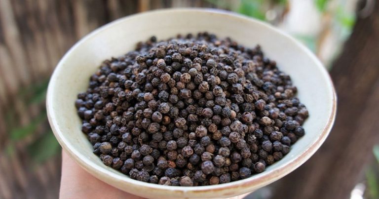 මෙරට ගම්මිරිස් බෝගයේ කීර්ති නාමය විනාශ කරන්නට එරෙහිව විමර්ශන