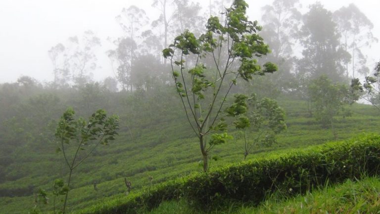මධ්‍යම කඳුකරයට අධික සුළං සහ ප්‍රධාන මාර්ගවල ඝන මීදුම් තත්වයක්