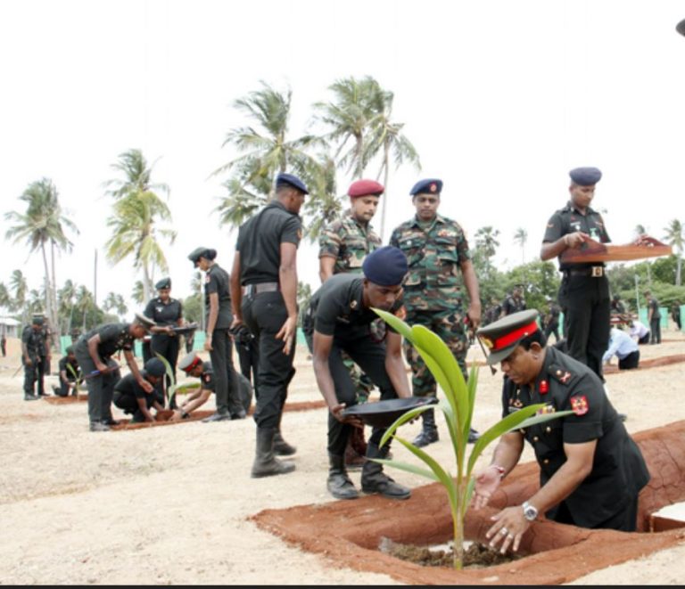 වෙරළ සංරක්‍ෂණ වැඩසටහනේ අධියරක් ලෙස පොල් පැළ 200 ක් රෝපණය කෙරේ