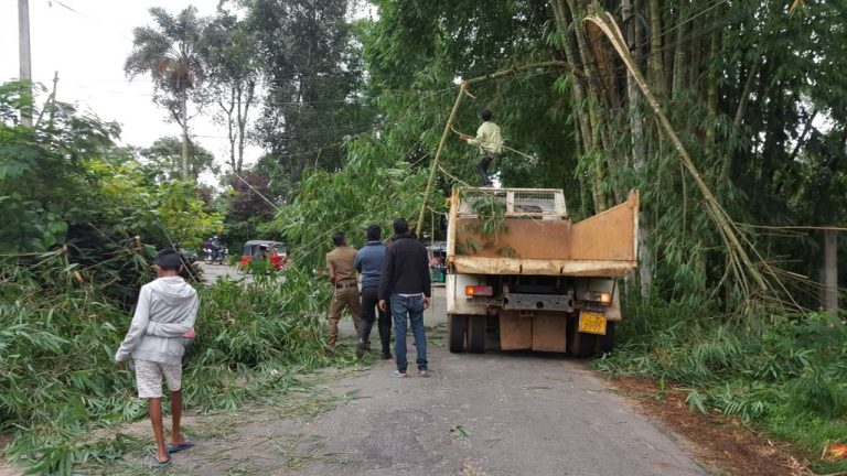 මධ්‍යම කඳුකරය හරහා හමා ගිය දැඩි සුළඟකින් හැටන් මස්ක‌ෙළිය ප්‍රධාන මාර්ගයට උණ බට කිහිපයක් කඩා වැටේ
