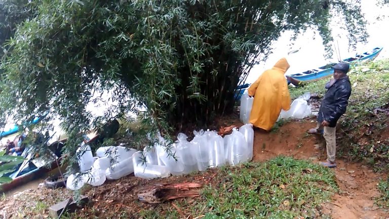 කාස්ලරි ජලාශයට මත්ස්‍යය පැටවුන් ලක්ෂයක් මුදා හැරේ