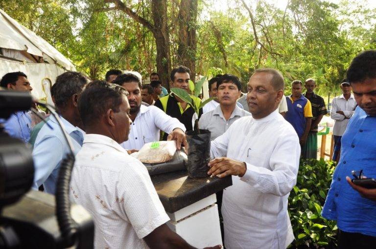 ගොවීන්ට හිඟයකින් තොරව ජලය ලබා දීමට අවශ්‍ය පියවර ගන්නවා – අමාත්‍ය මහින්ද අමරවීර