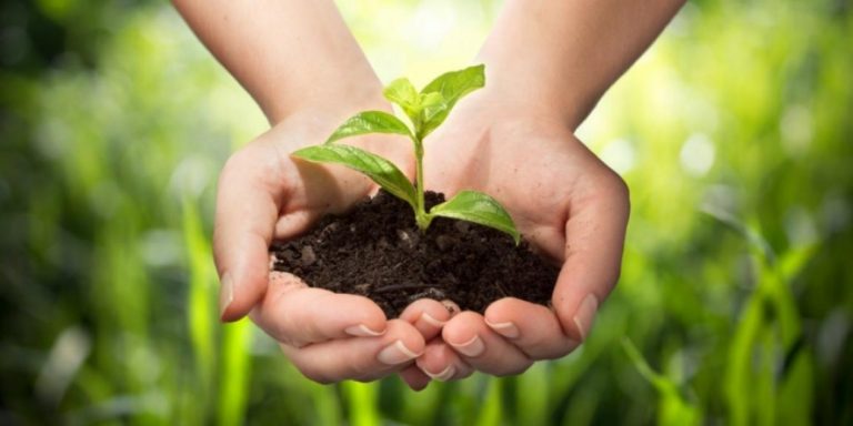 පැල මිලියනයක් සිටුවන “සහසක් තුරු” වැඩසටහන හෙට මහනුවරින් ඇර‍ඹේ