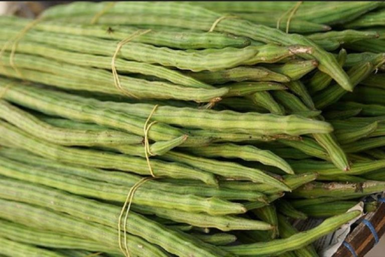 මැස්සන් හා කෘමීන්ග‌ෙ‌න් මුරුංගා වගාවට හානි