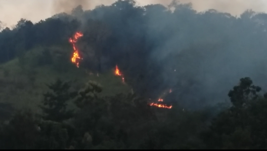 වැල්ලවාය කොටවෙහෙරගල කදු රක්ෂිතයේ විශාල ගින්නක්