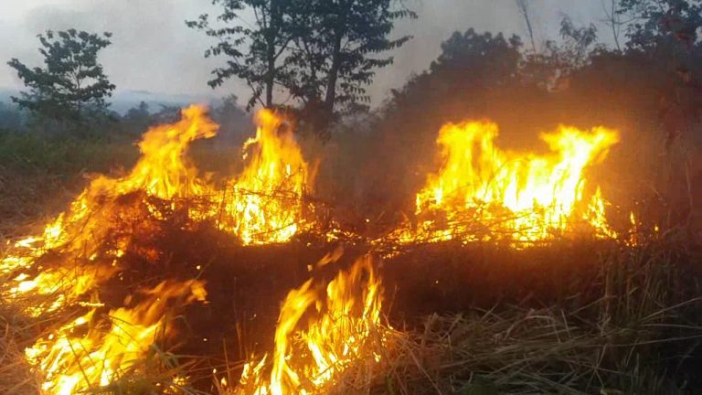 වැල්ලවාය හඳපානාගල රන්දෙනිගොඩ යාය ප්‍රදේශයේ ගින්නක්