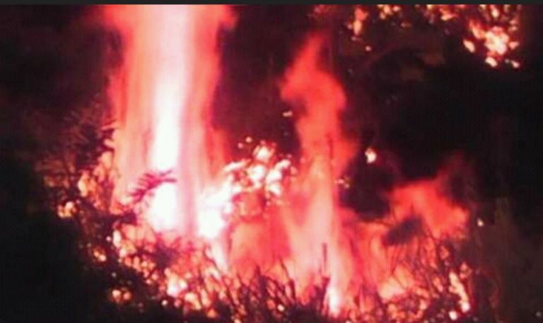 මොණරාගල දරගොඩයාය රක්ෂිතයේ ගින්නක්