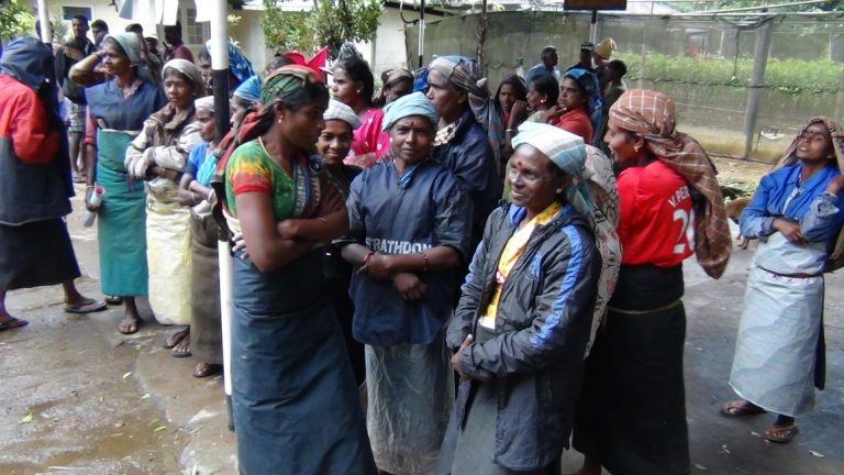 ඉඩම් සුදුසු නොමැති බව පවසමින් වතු කම්කරුවන් පිරිසක් අද විරෝධතාවක