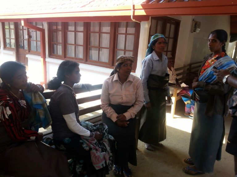 තේ දළු නෙලමින් සිටි වතු කම්කරු කාන්තාවන් පිරිසකට බඹර ප්‍රහාරයක්
