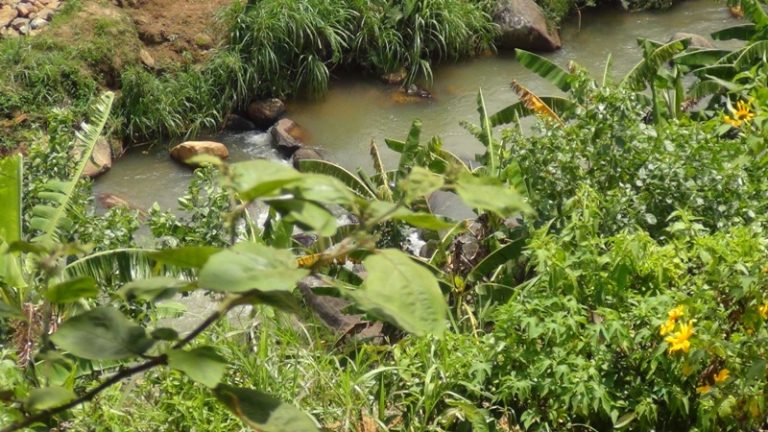 බගවන්තලාව ප්‍රදේශයේ ඉදි කෙරෙන පෞද්ගලික ජල විදුලි බලාගාරයක පස් කෙසෙල්ගමුඔයට මුදා හැරිම හේතුවෙන් විශාල පරිසර හානියක්