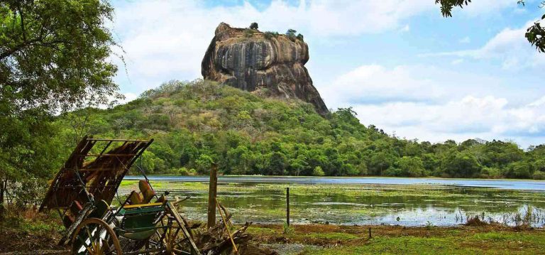 සීගිරිය අභය භූමියේ ගොවිපොළ පාර