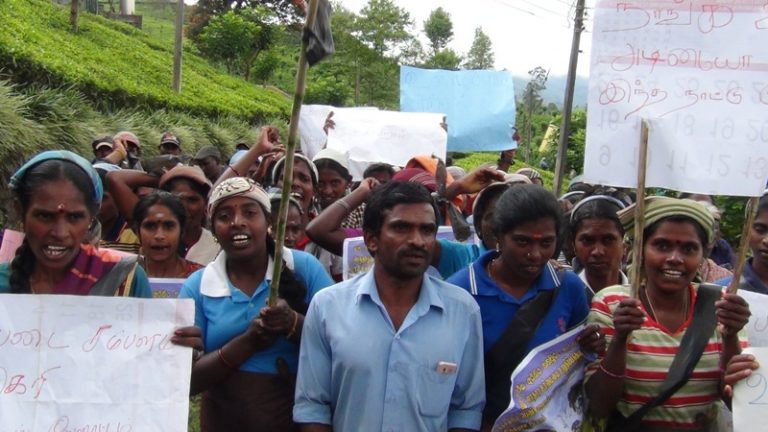 තම මුලික වැටුප වැඩි කරන ලෙස ඉල්ලා වතු කම්කරුවන් පිරිසක් උද්ඝෝෂණයක