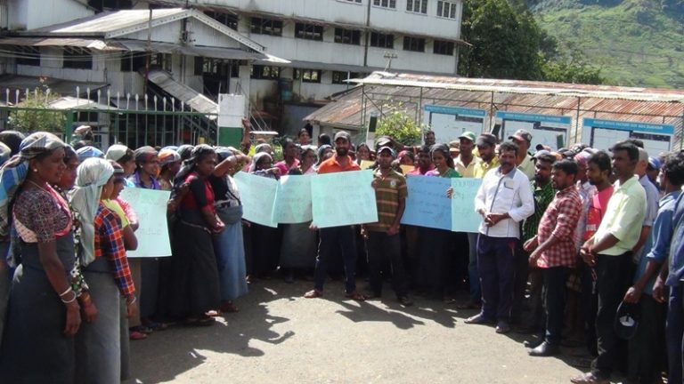 ජිවන වියදමට සරිලන වැටුපක් ලබාදෙන ලෙස ඉල්ලා වතු කම්කරුවන් පිරිසක් උද්ඝෝෂණයක