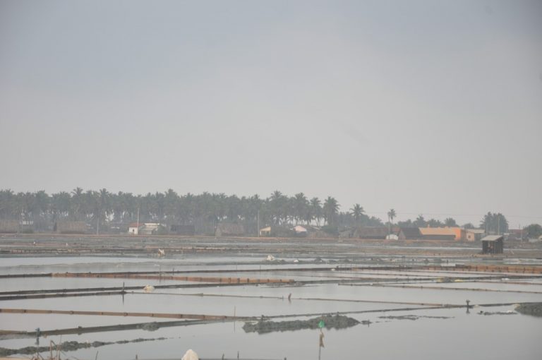 අධික වර්ෂාපතය හේතුවෙන් පුත්තලමේ ලුණු කර්මාන්තට දැඩි බාධා