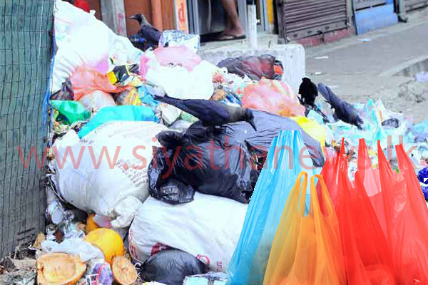 කෝටි හතරකට අධික පොලිතින් බෑග් නොමිලේම පරිසරයට