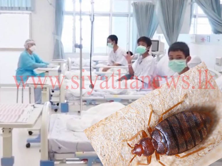 ඉස්පිරිතාලේ මකුණෝ නිසා ලෙඩ්ඩු මාරු කරයි