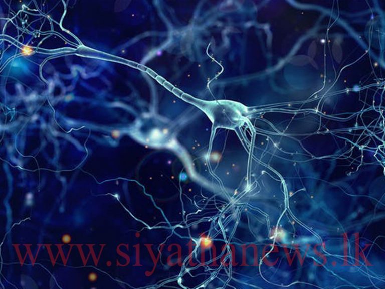 ජාන තාක්ෂණ විද්‍යාව ලංකාවටත්