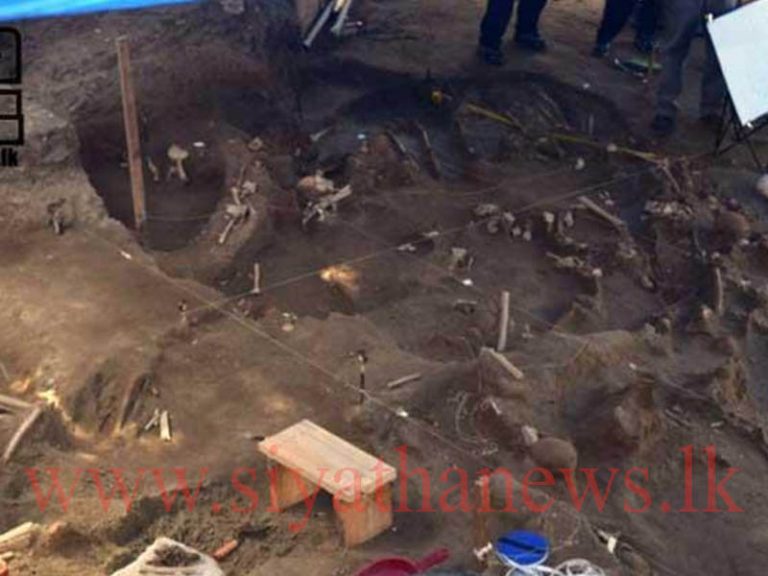 මන්නාරමේ ඇටසැකිලි අමෙරිකාවට යයි