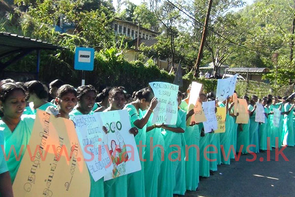 වතු කම්කරුවන් වෙනුවෙන් ගුරුවරු පාරට බසිති